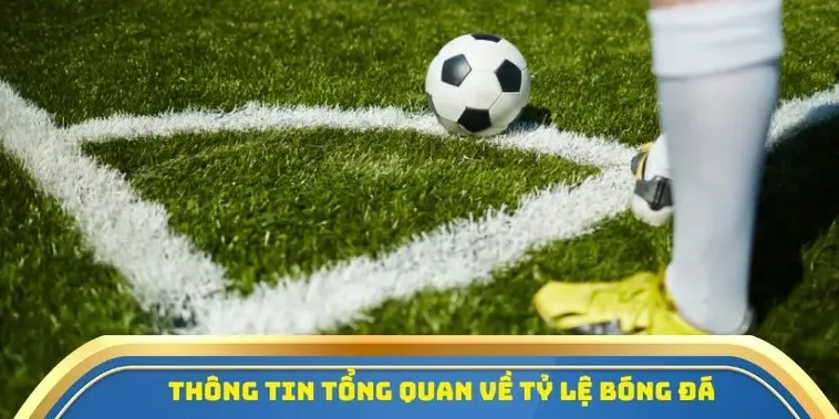 Tỷ Lệ Cá Cược B52CLUB Cơ Hội Vàng Để Chinh Phục Những Chiến Thắng Lớn